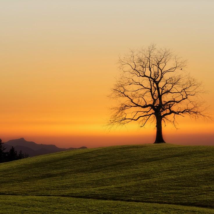 Nature travel hero image